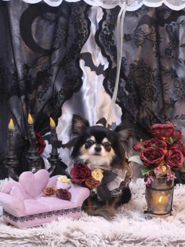 20231028アリューくん